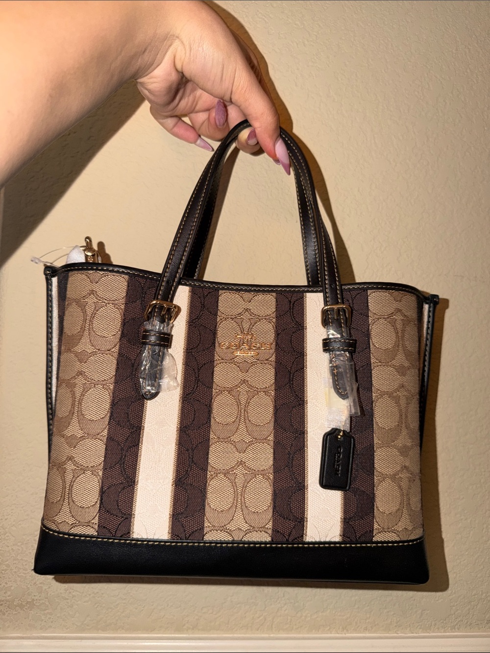 Coach Stripe Signature Tote in Brown and Khaki